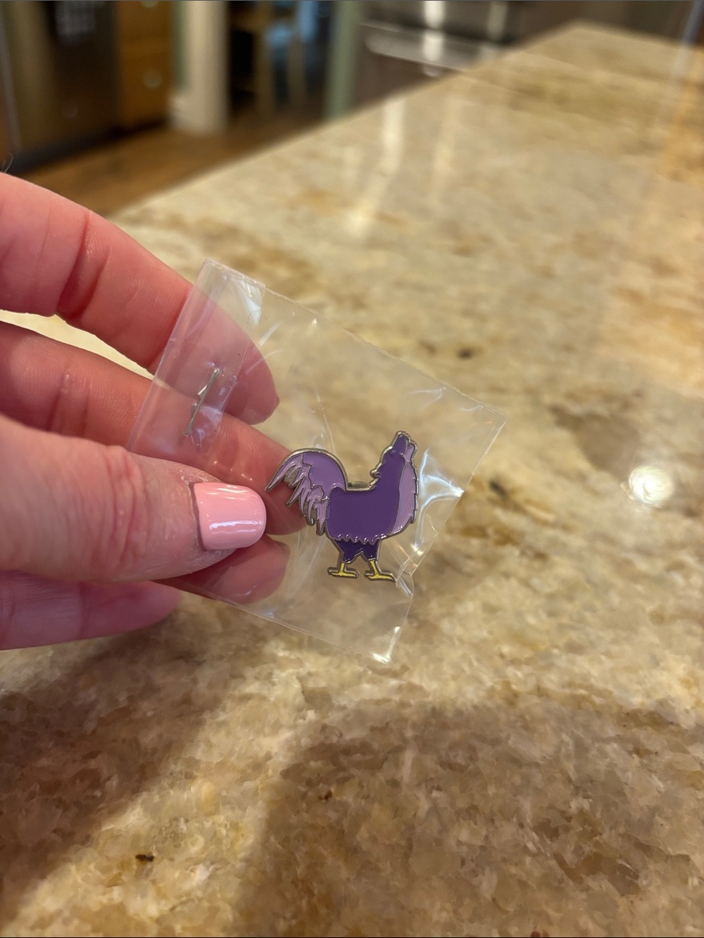 GISH Wooster Pin